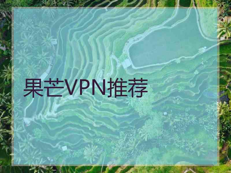 果芒VPN推荐