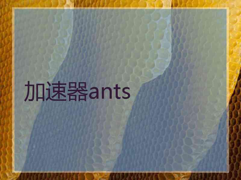 加速器ants