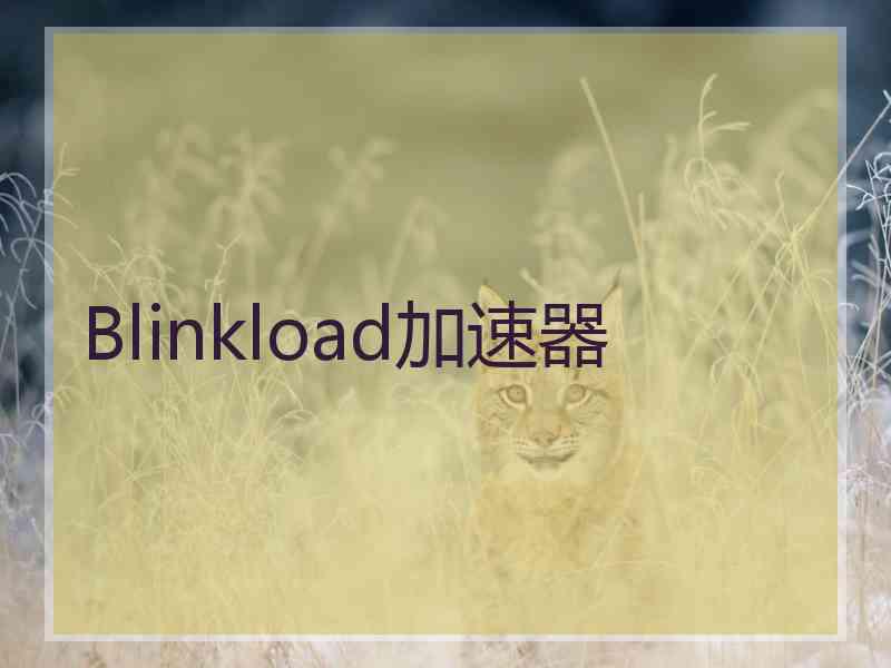 Blinkload加速器