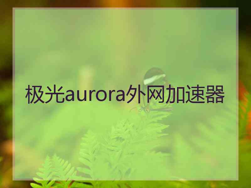 极光aurora外网加速器