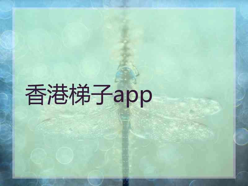 香港梯子app