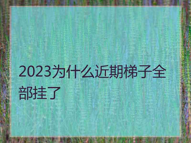 2023为什么近期梯子全部挂了