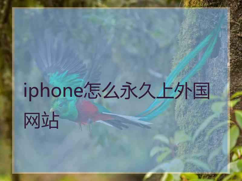 iphone怎么永久上外国网站