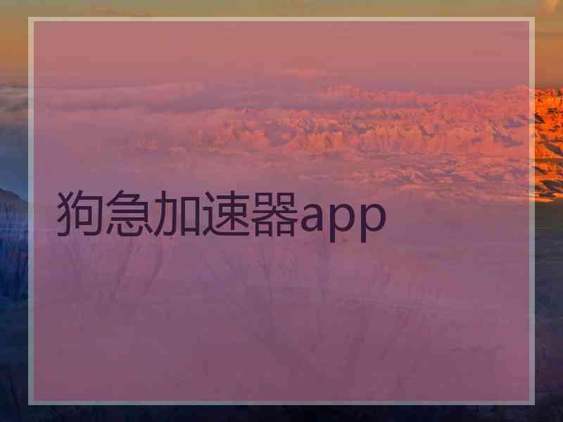 狗急加速器app