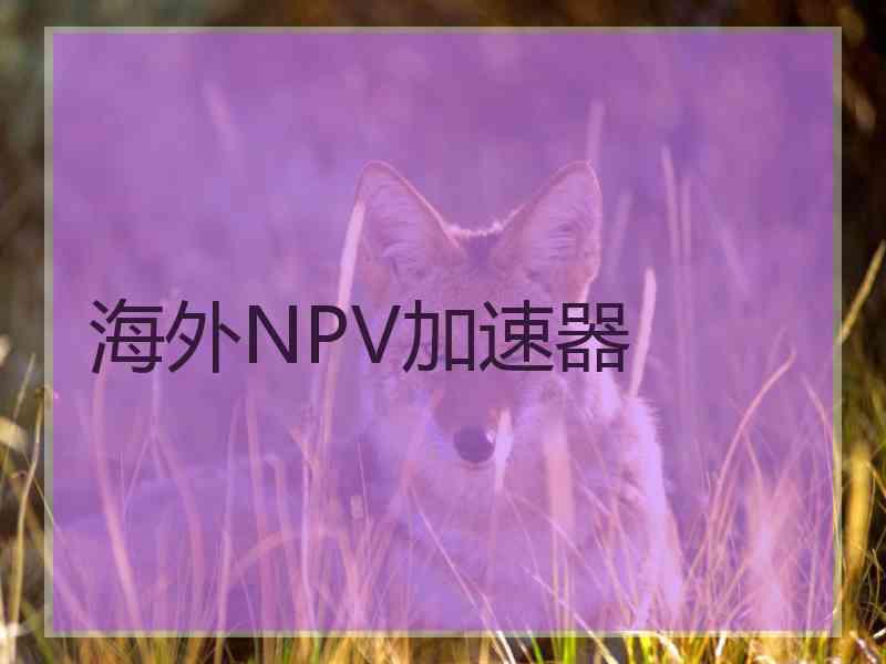 海外NPV加速器