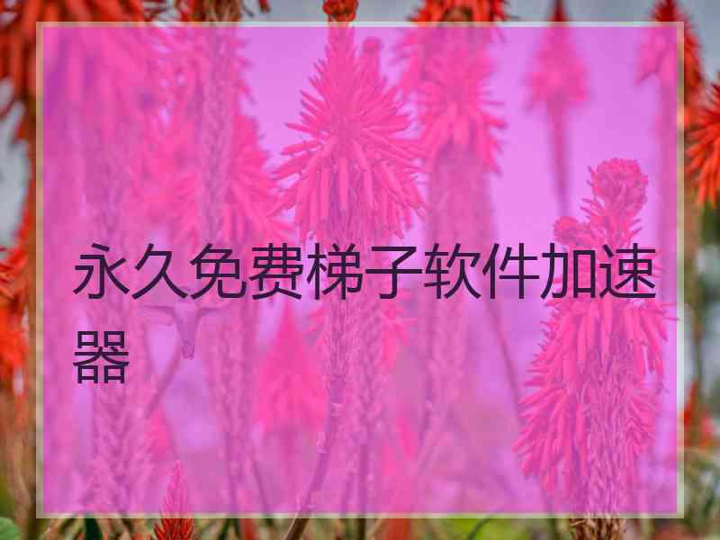 永久免费梯子软件加速器