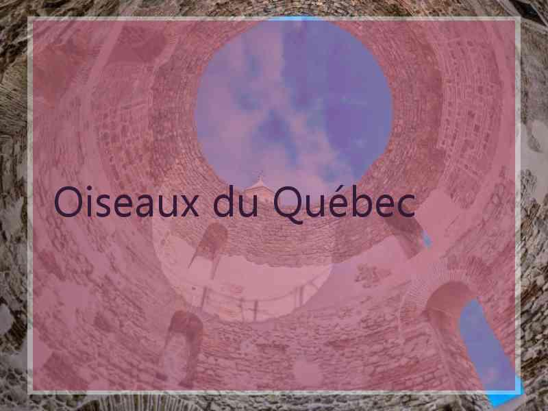 Oiseaux du Québec