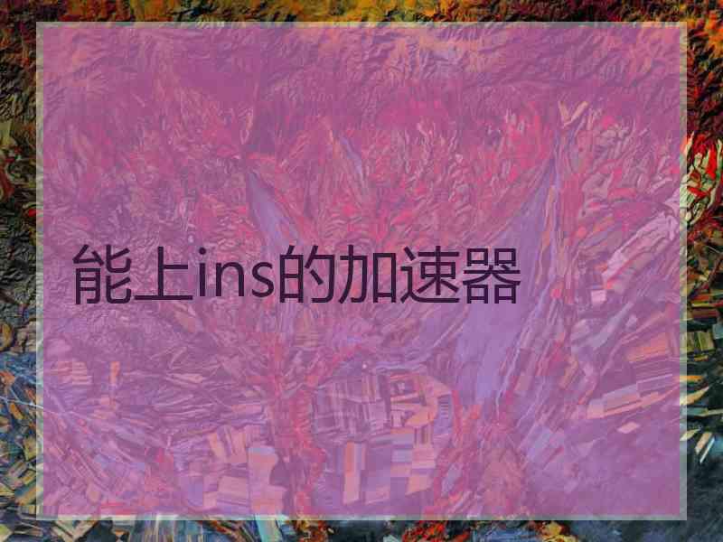 能上ins的加速器