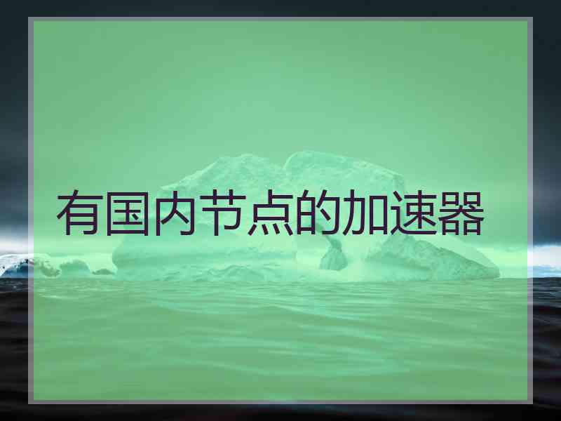 有国内节点的加速器