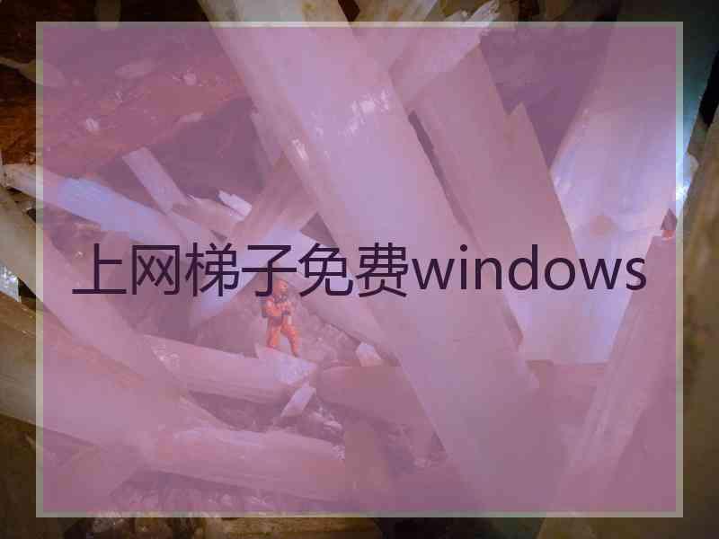 上网梯子免费windows