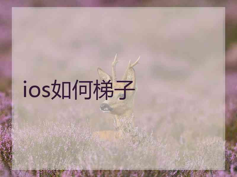 ios如何梯子