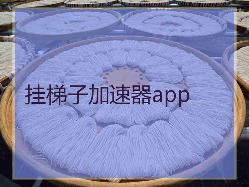 挂梯子加速器app