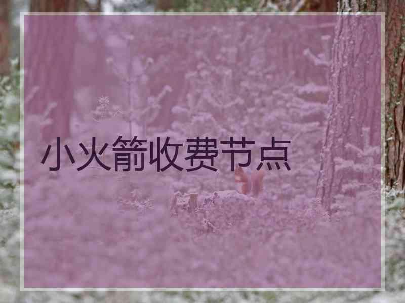 小火箭收费节点