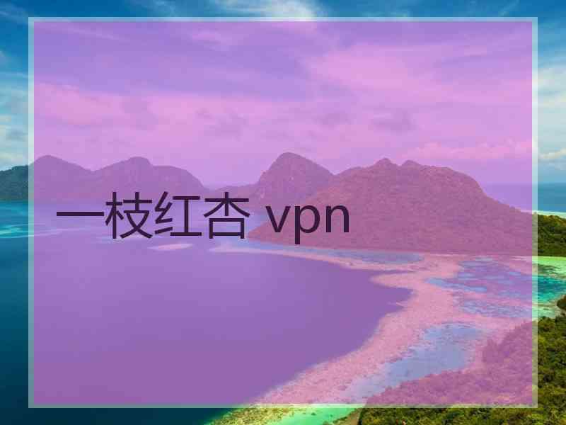 一枝红杏 vpn