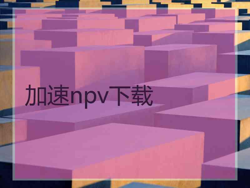 加速npv下载