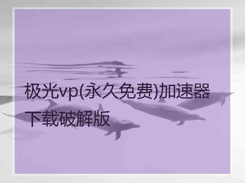 极光vp(永久免费)加速器下载破解版