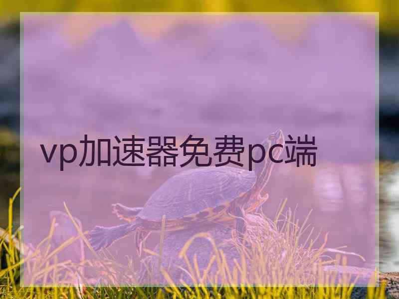 vp加速器免费pc端