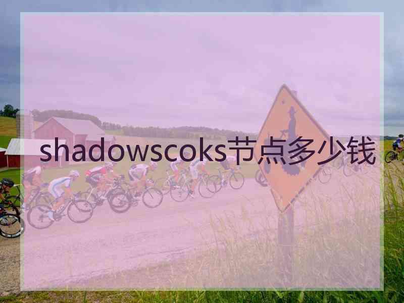 shadowscoks节点多少钱