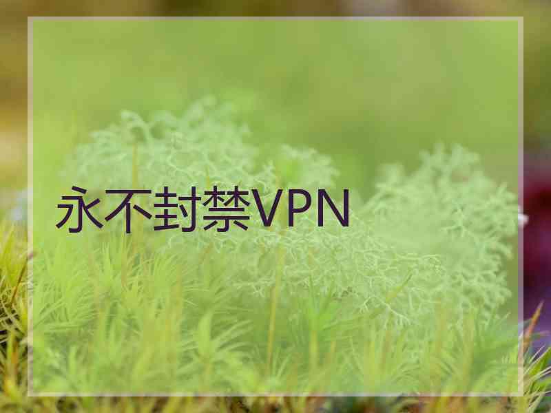 永不封禁VPN