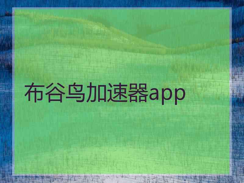 布谷鸟加速器app