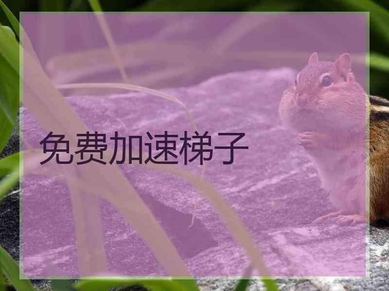 免费加速梯子