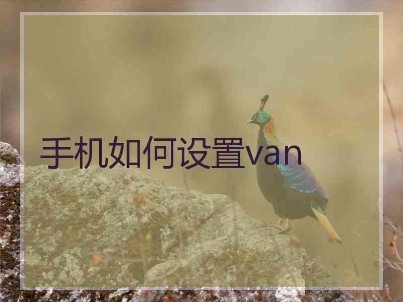 手机如何设置van