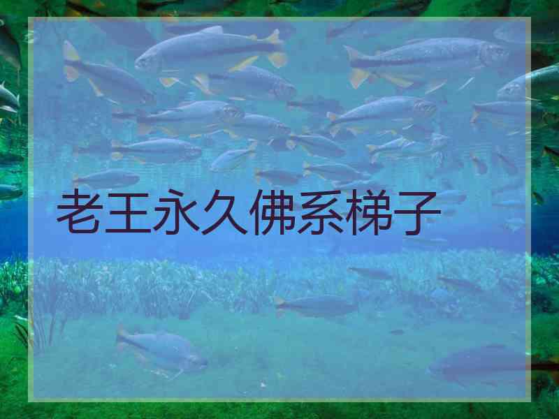 老王永久佛系梯子