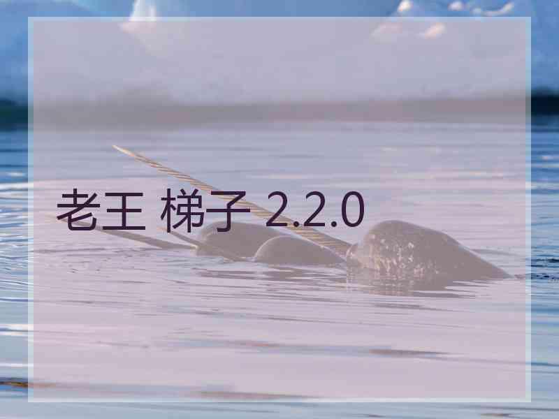 老王 梯子 2.2.0