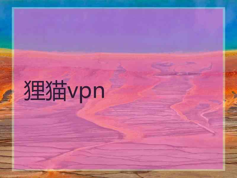 狸猫vpn