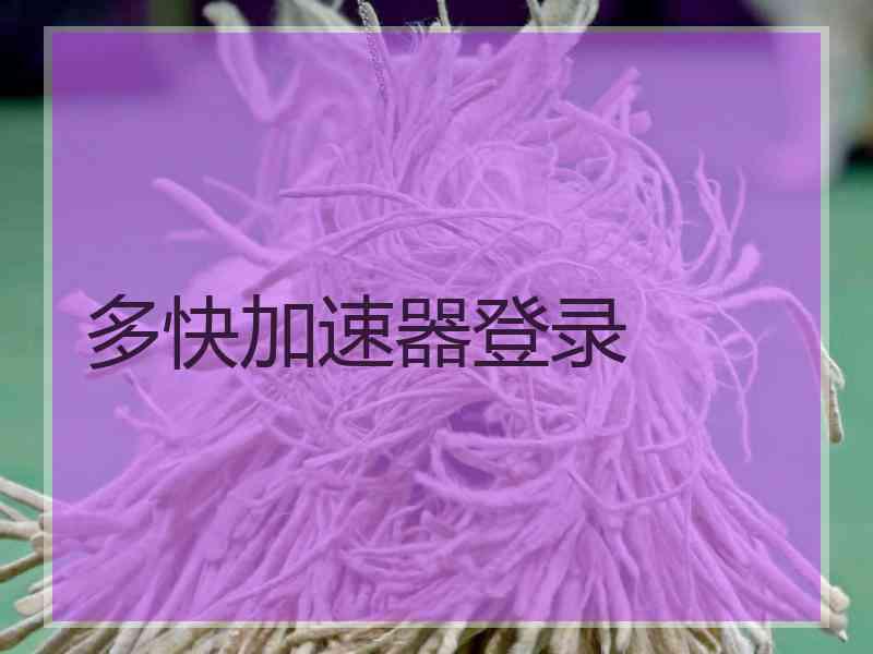 多快加速器登录