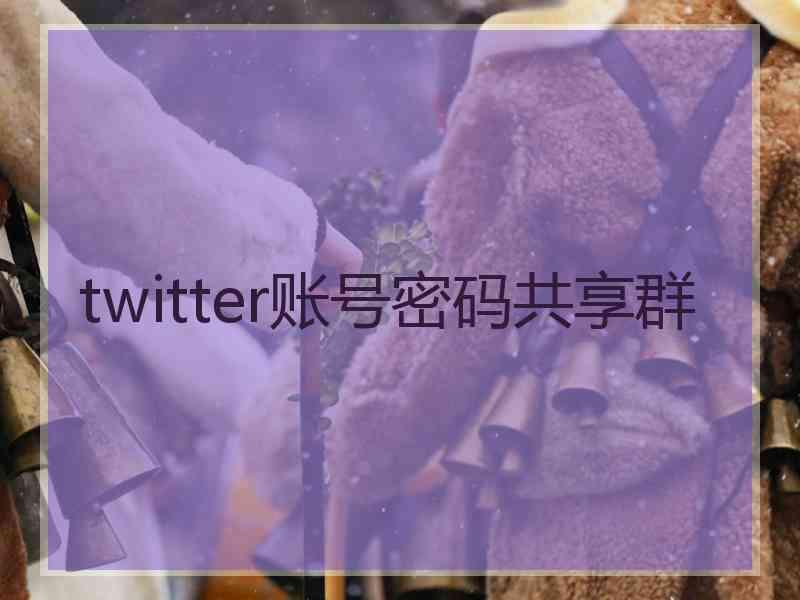 twitter账号密码共享群