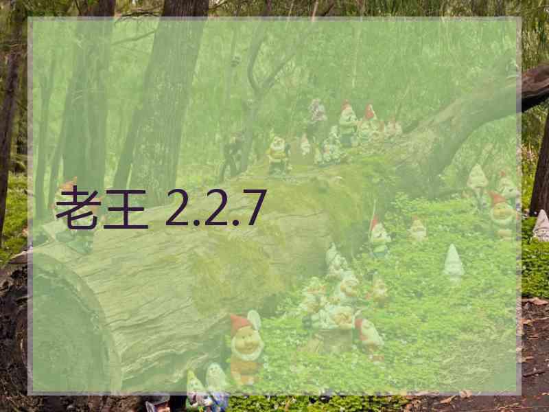 老王 2.2.7