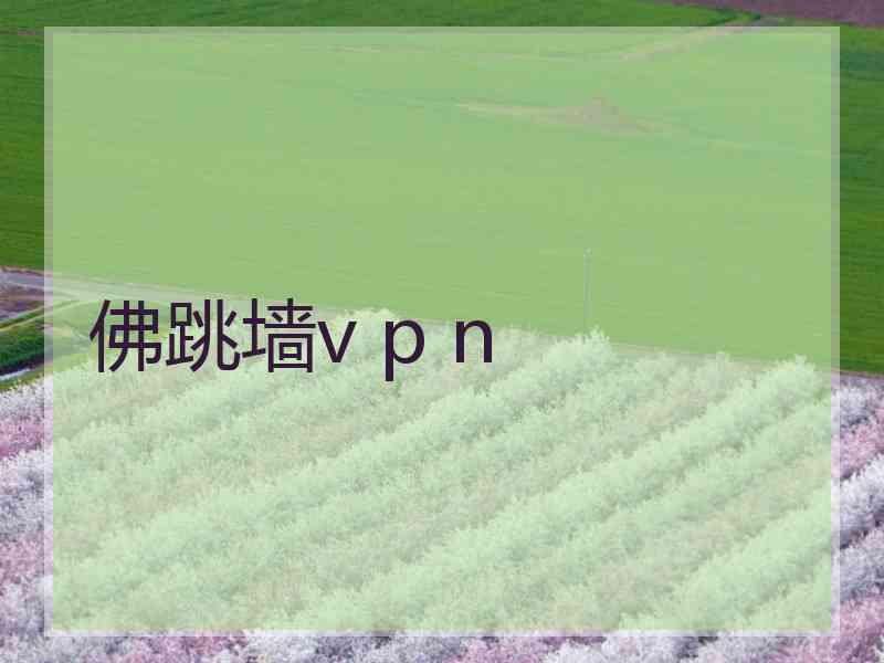 佛跳墙v p n