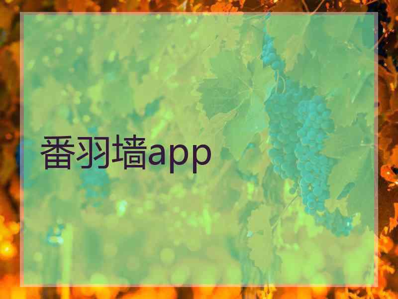 番羽墙app