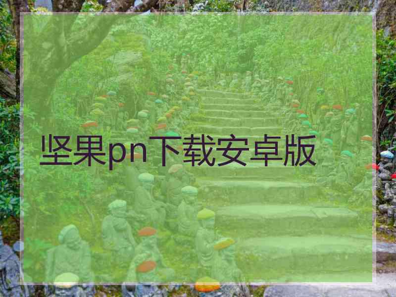 坚果pn下载安卓版