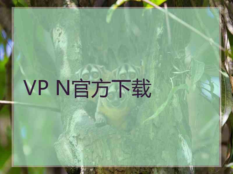 VP N官方下载