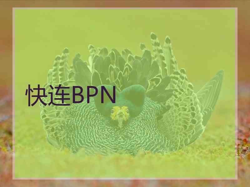 快连BPN