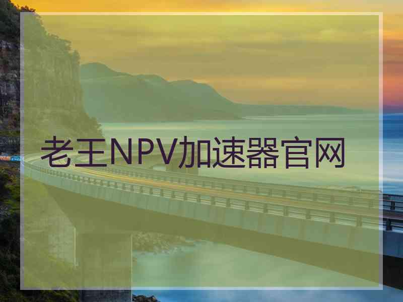 老王NPV加速器官网