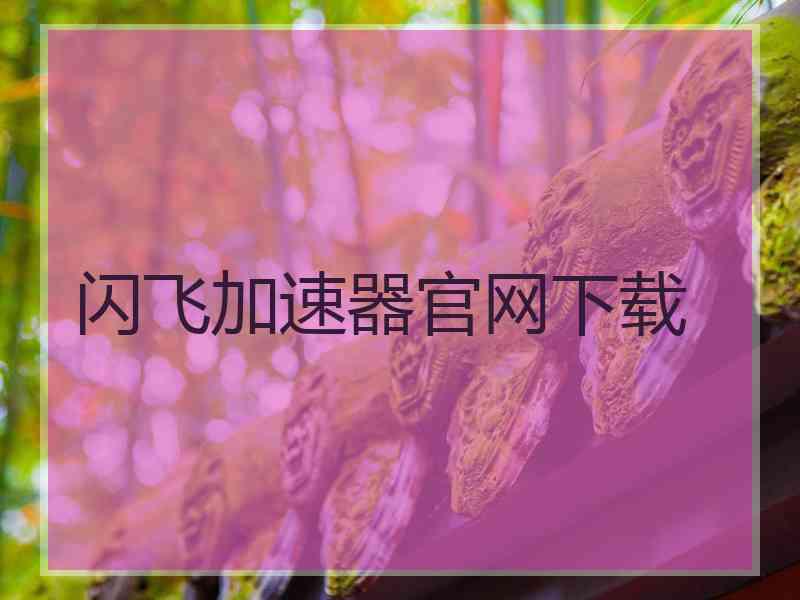 闪飞加速器官网下载