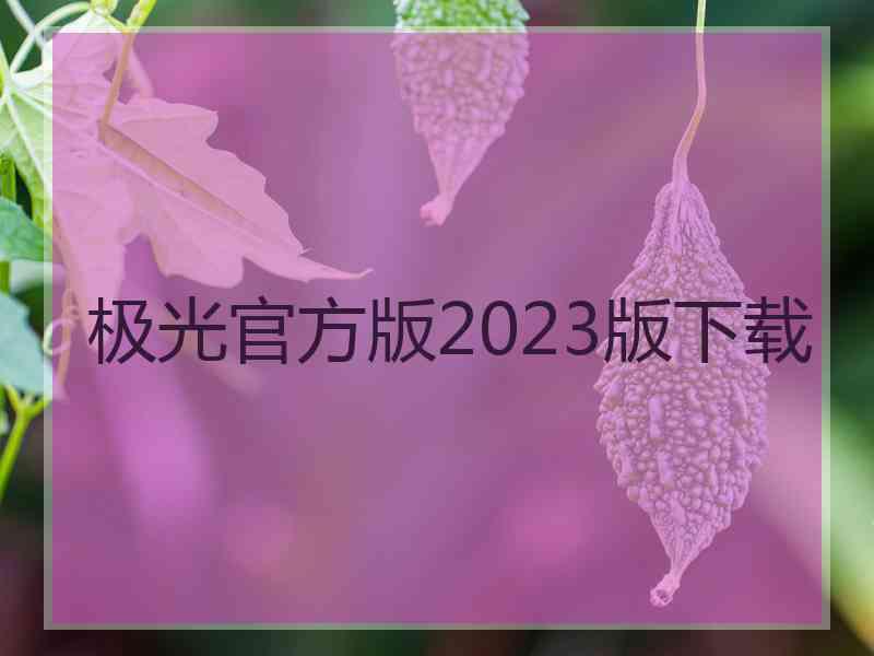 极光官方版2023版下载