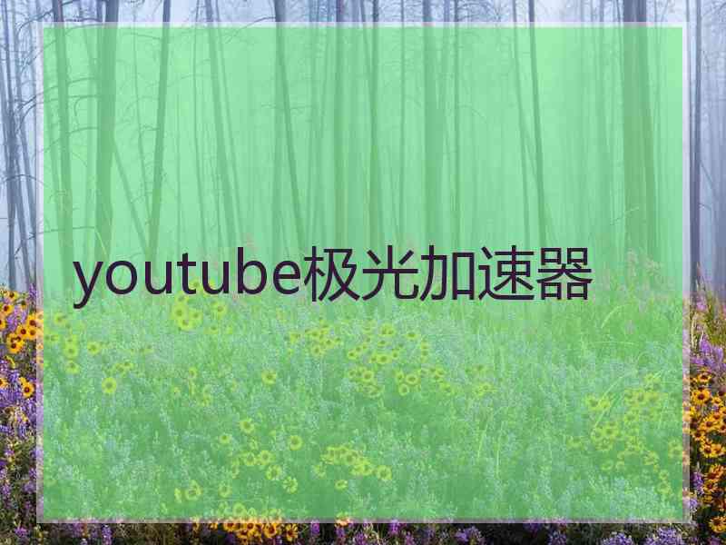 youtube极光加速器