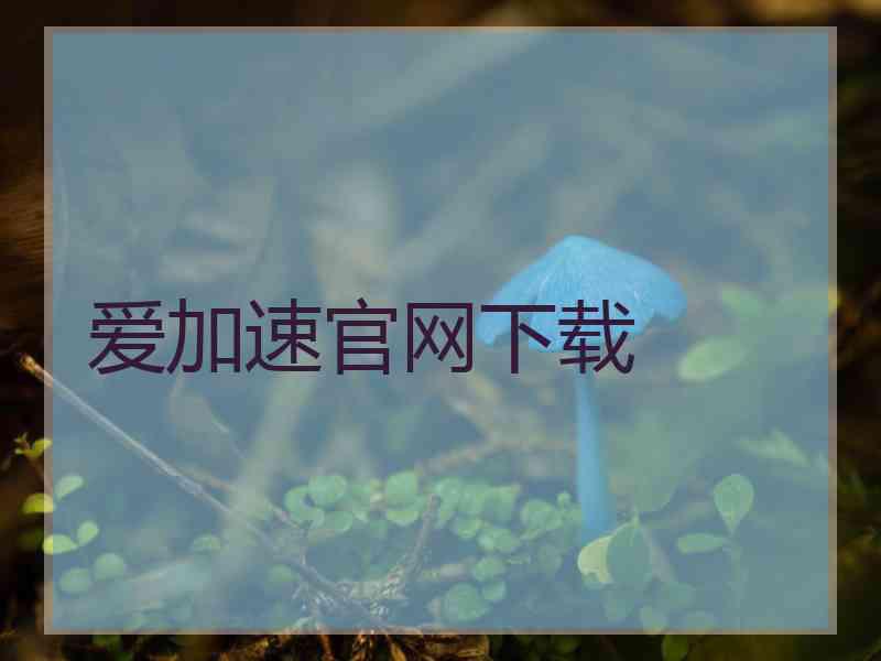 爱加速官网下载