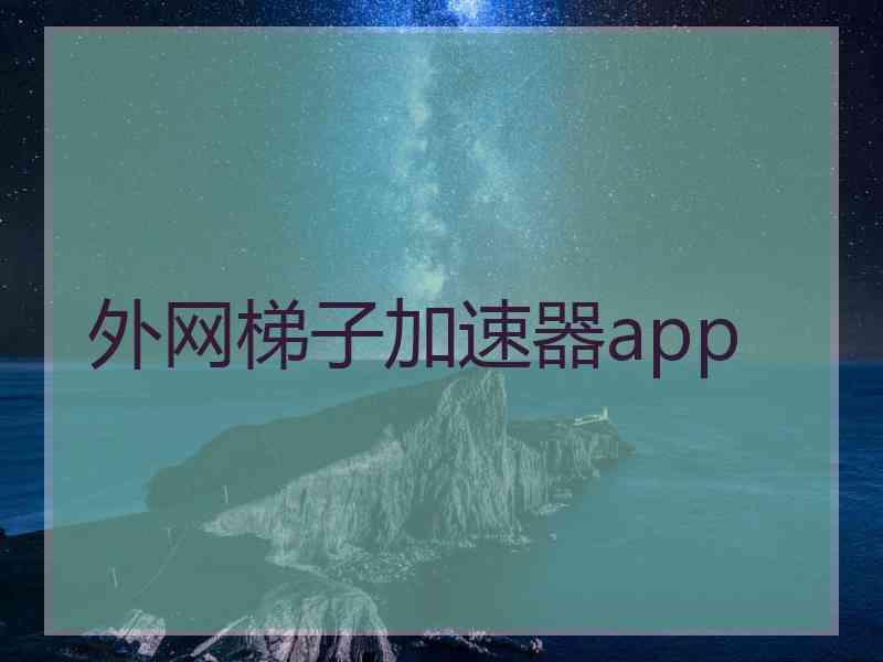 外网梯子加速器app