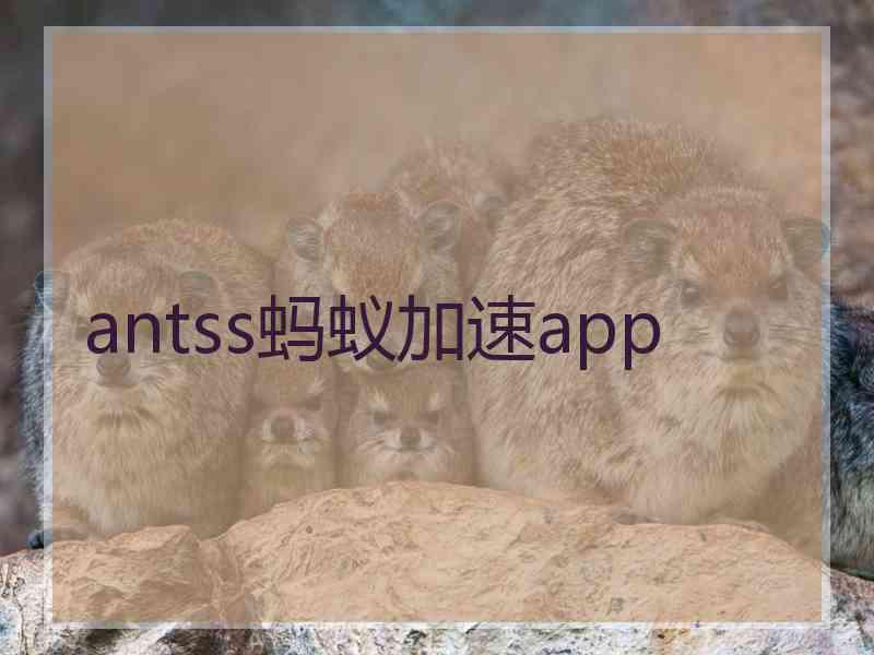 antss蚂蚁加速app