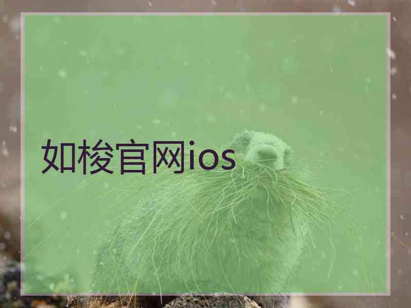 如梭官网ios