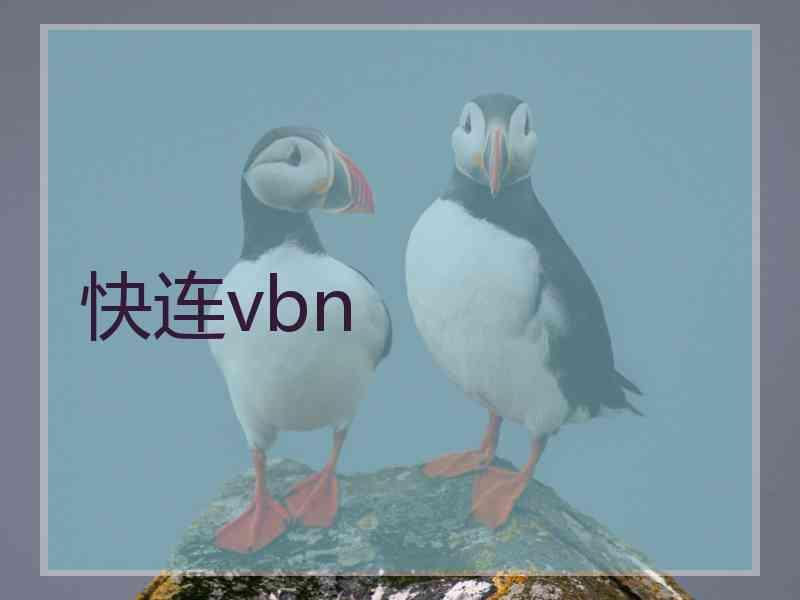 快连vbn