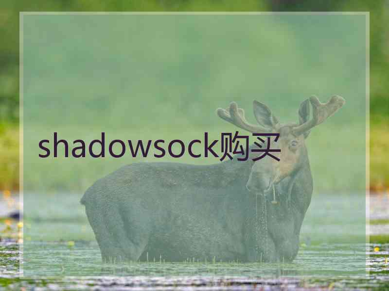 shadowsock购买