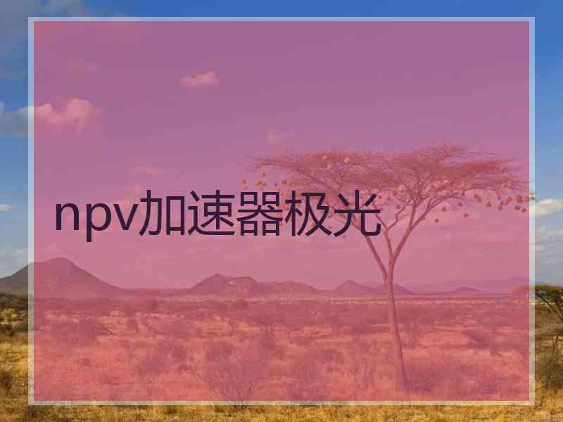 npv加速器极光