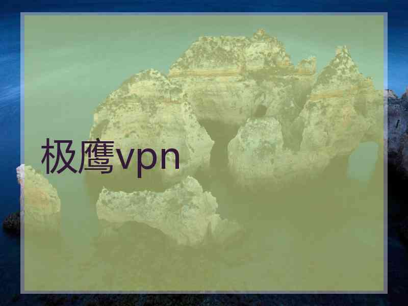 极鹰vpn