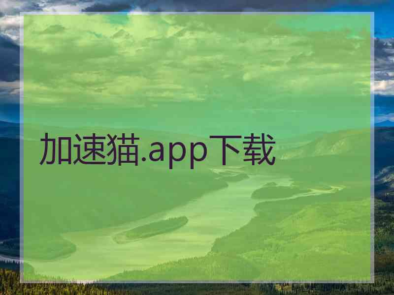 加速猫.app下载